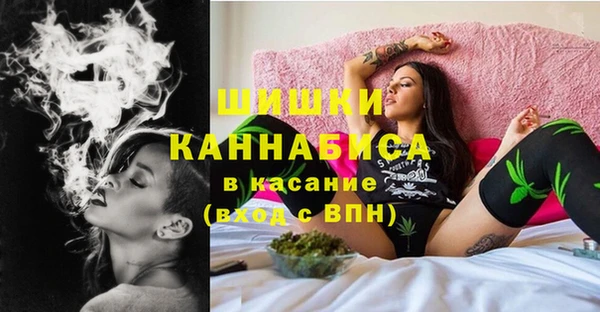 ГАЛЛЮЦИНОГЕННЫЕ ГРИБЫ Заводоуковск