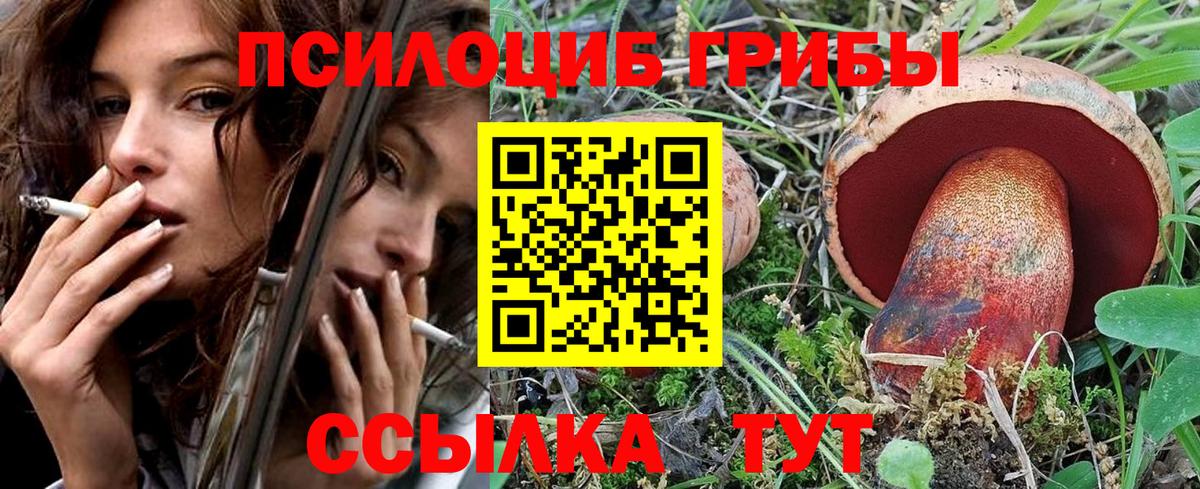 Псилоцибиновые грибы Cubensis Камышин