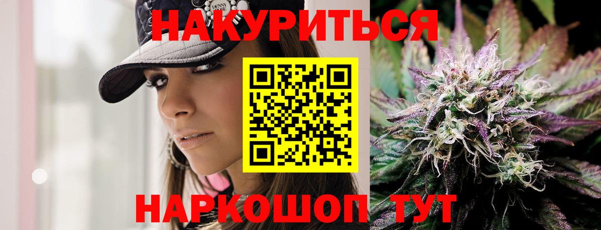 Камышин  Бошки марихуана тримм  Вход с VPN  Бошки марихуана гибрид  Бошки Шишки индика  Конопля индика 